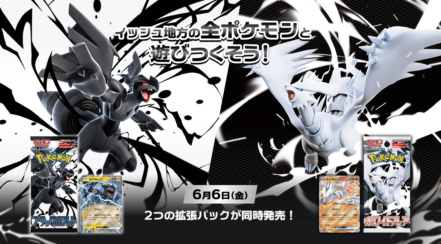 Black Bolt and White Flare, The Next Pokemon 151? – PokeUnlimited