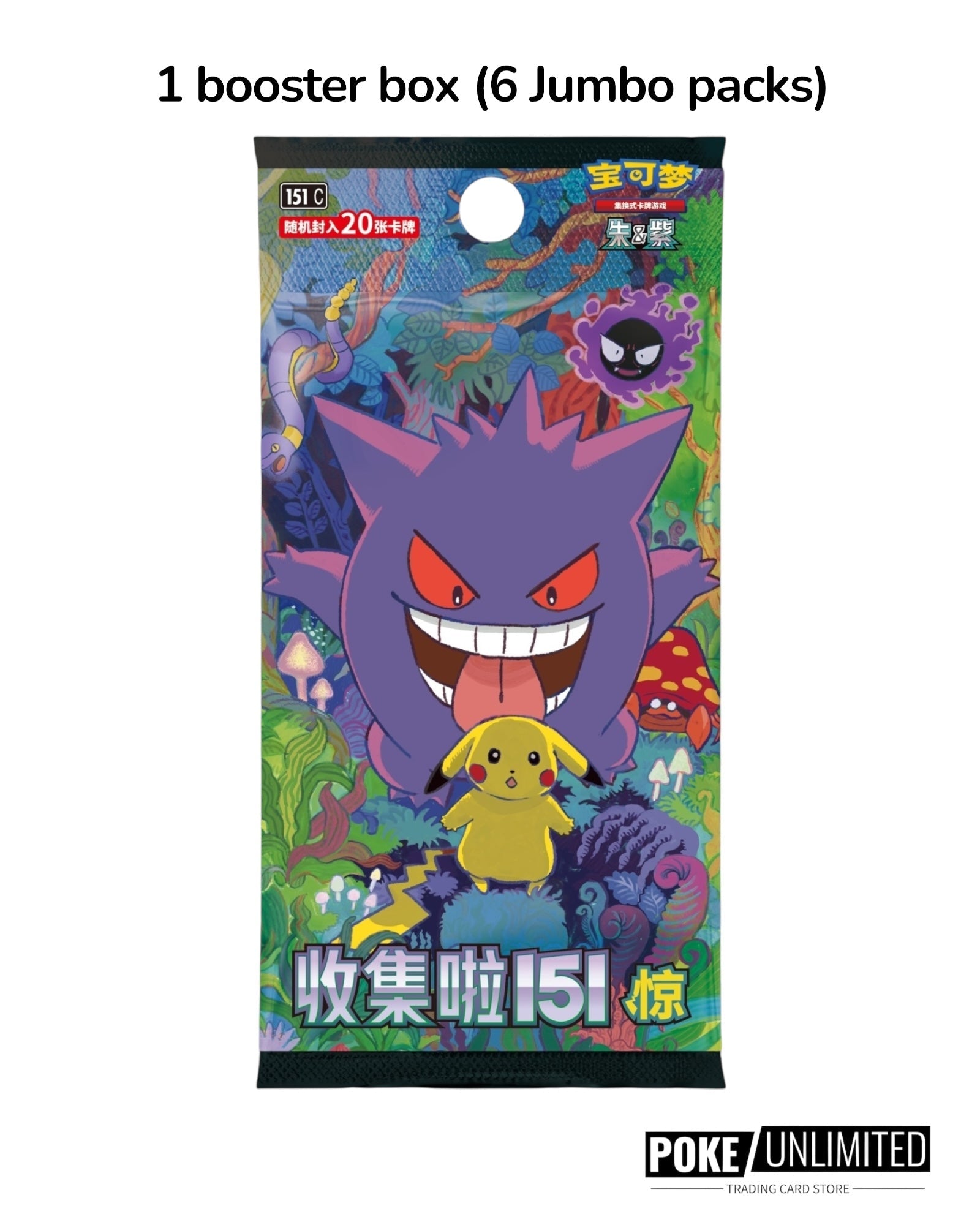 Pokémon TCG: Collect 151 The First Partner Premium Gift Box