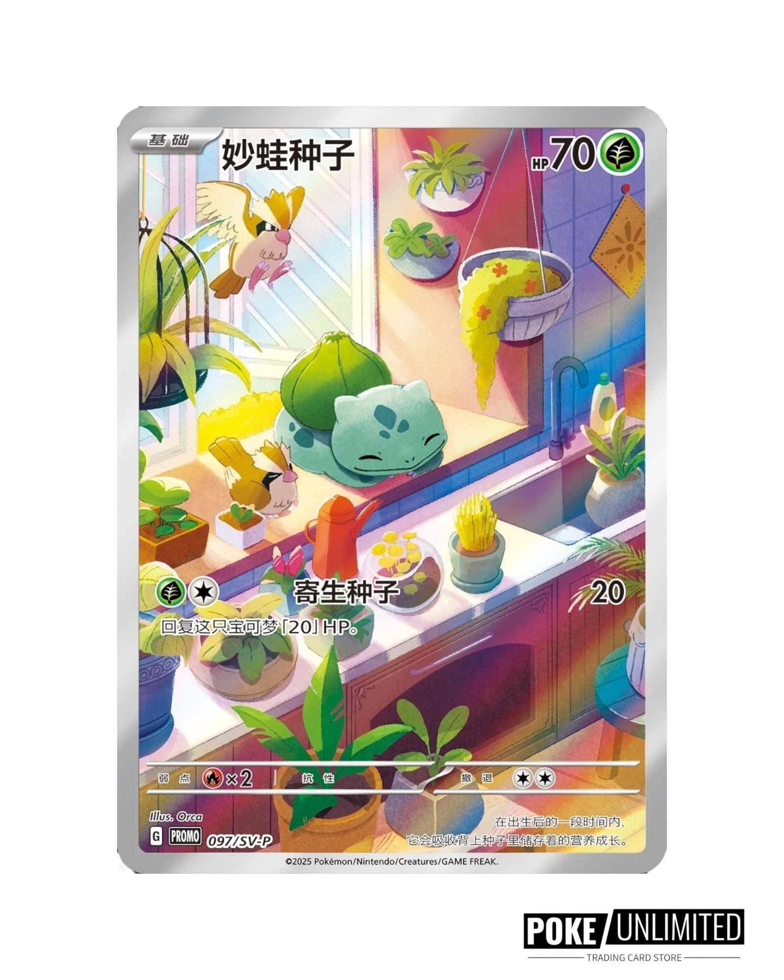 Pokémon TCG: Collect 151 The First Partner Premium Gift Box