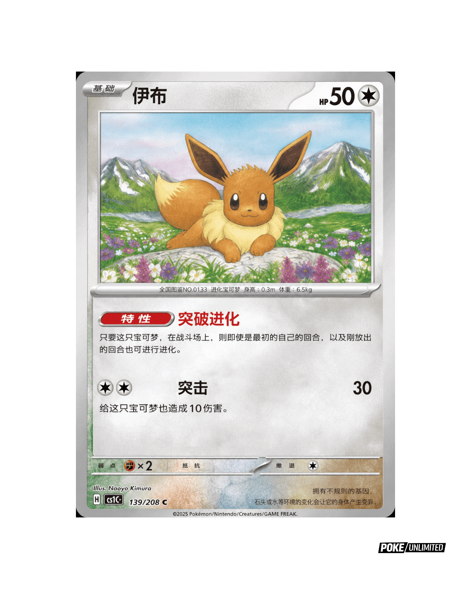 EVNNE SET N GO オーストラリア トレカ コンプリート セット pokemon-tcg-terastal-gathering