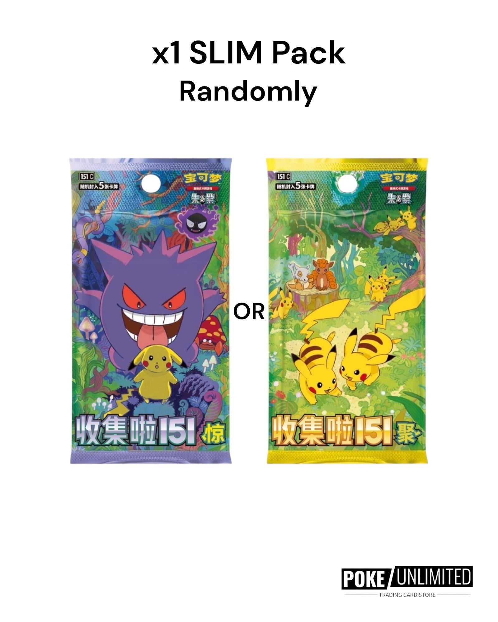 Pokémon TCG Travel Collection Accessory Gift Box | Simplified